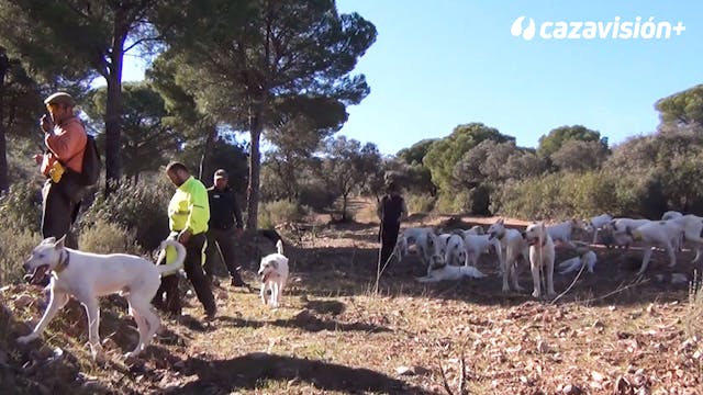 Montería en la finca Peñas Blancas