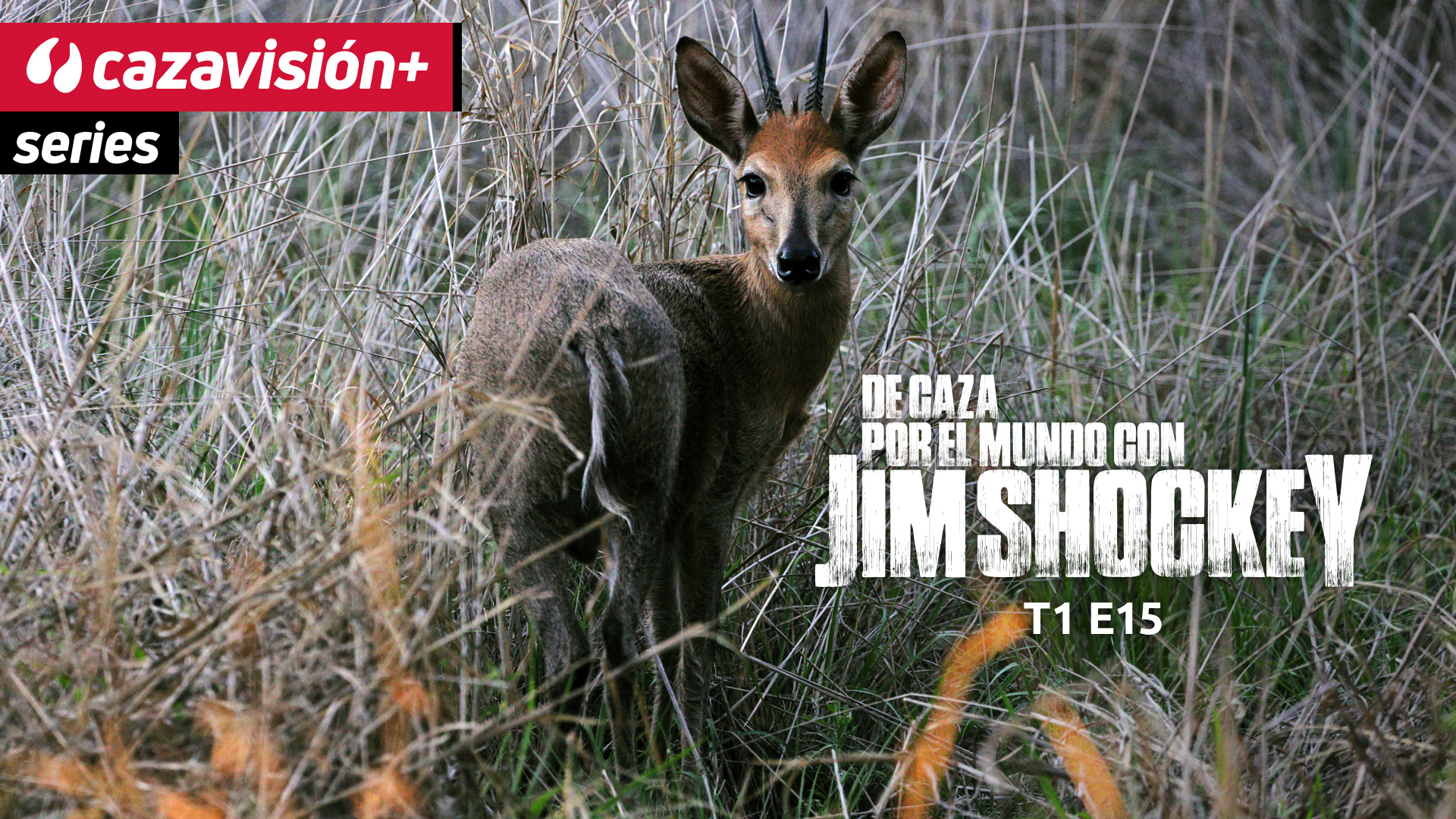 Conservación del duiker de Ader