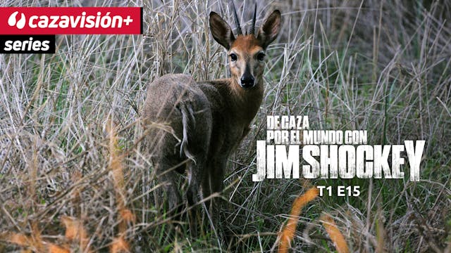 Conservación del duiker de Ader