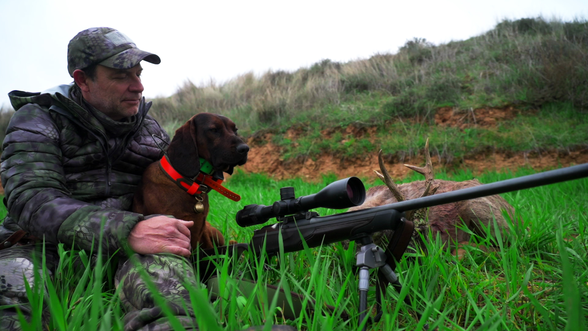 Caza y gestión de corzos