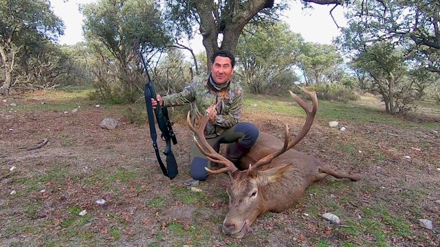 Venados y jabalíes en Torreón de Armenteros