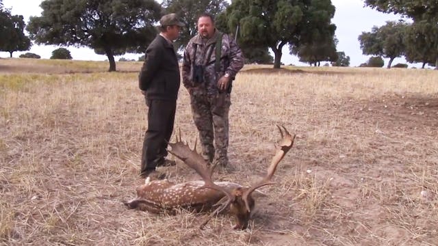 Rececho en Viñuelas