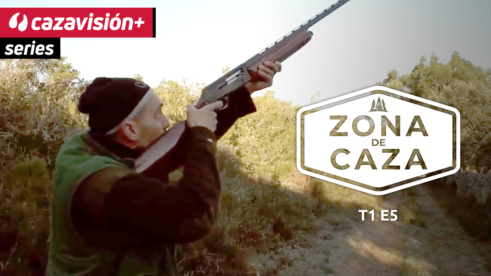 Del zorzal al jabalí