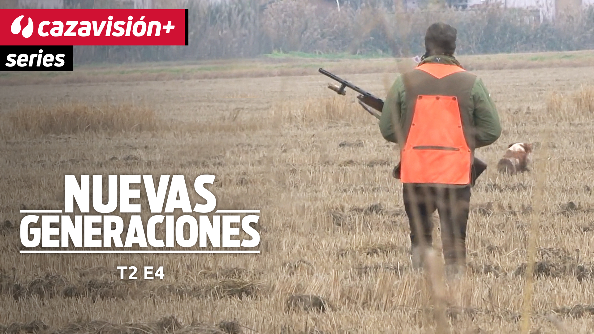 Agachadizas en humedales italianos