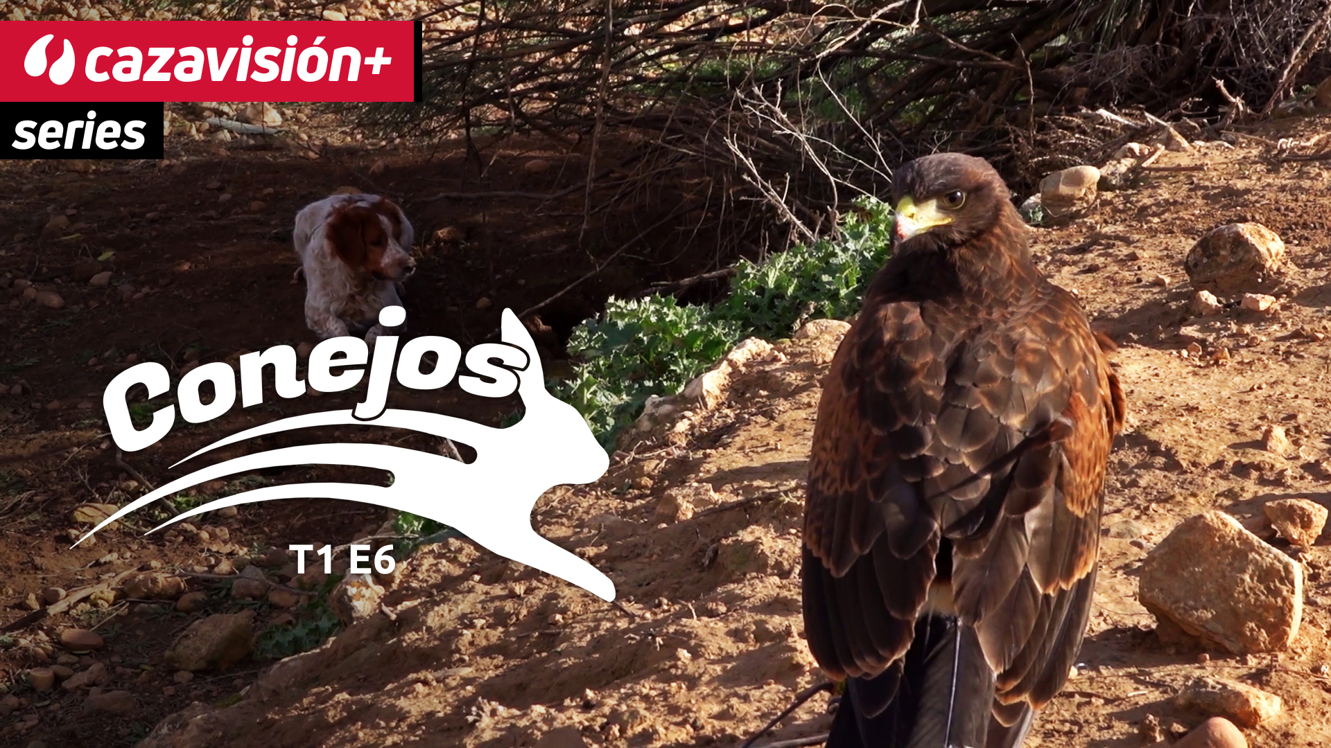 El escuadrón de Harris