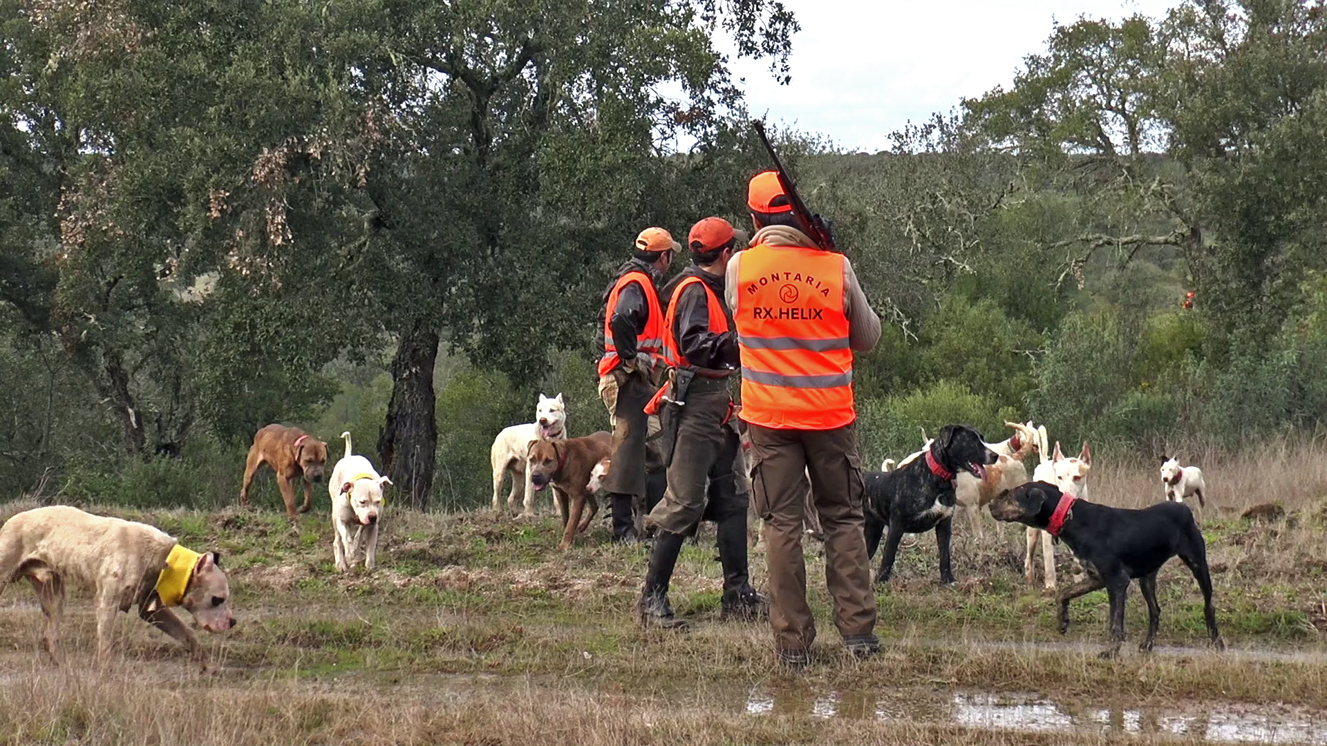 Compartiendo afición