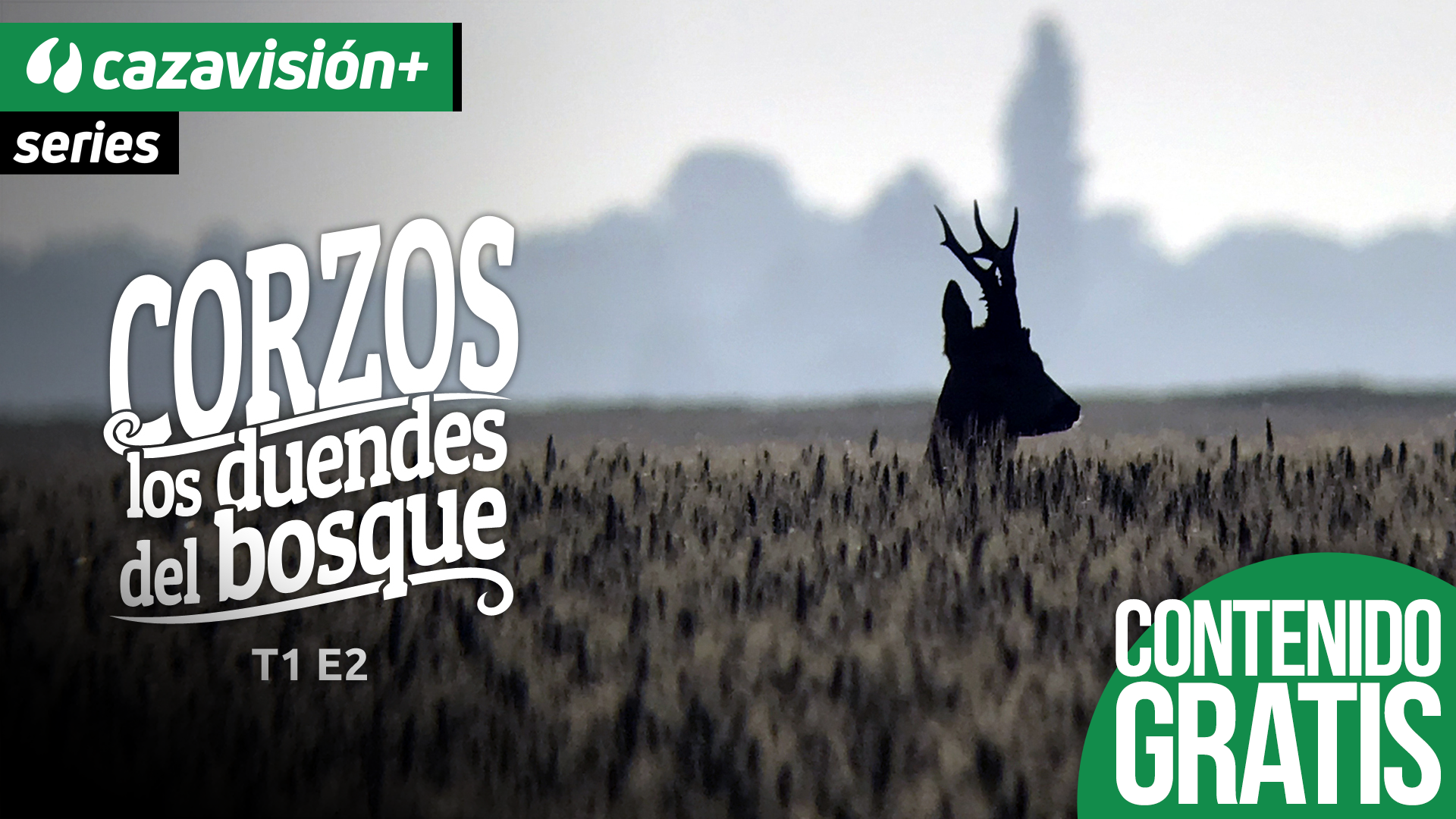 El ambiente: el segundo factor