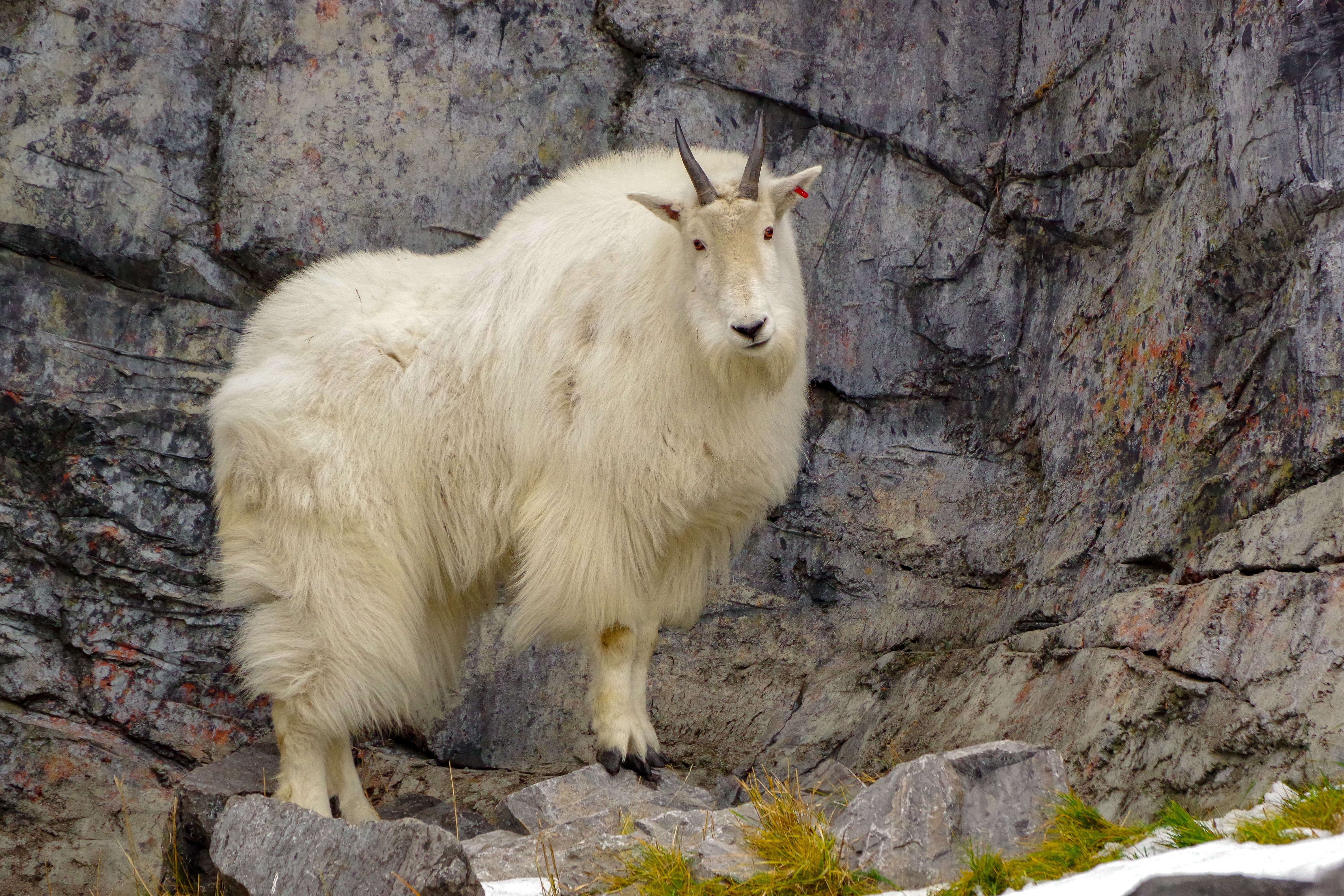 La impresionante Columbia Británica
