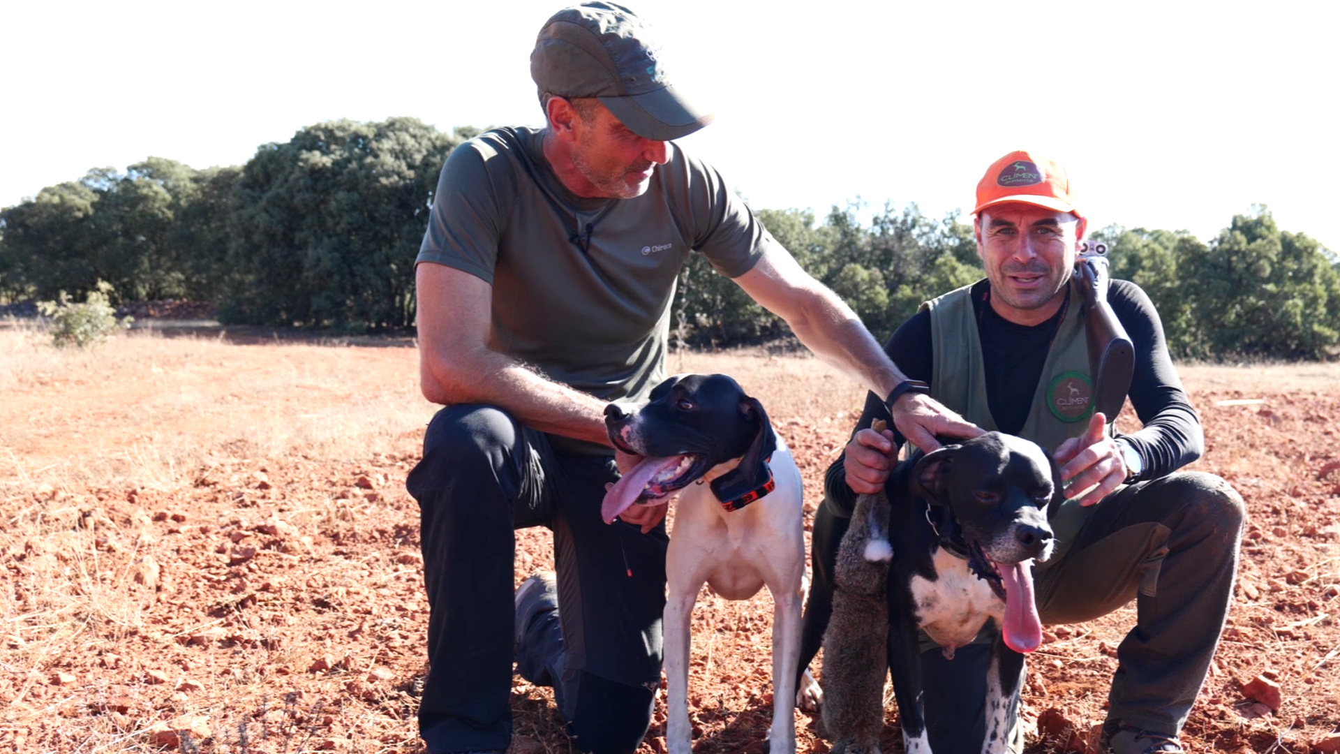 El rey de los llanos