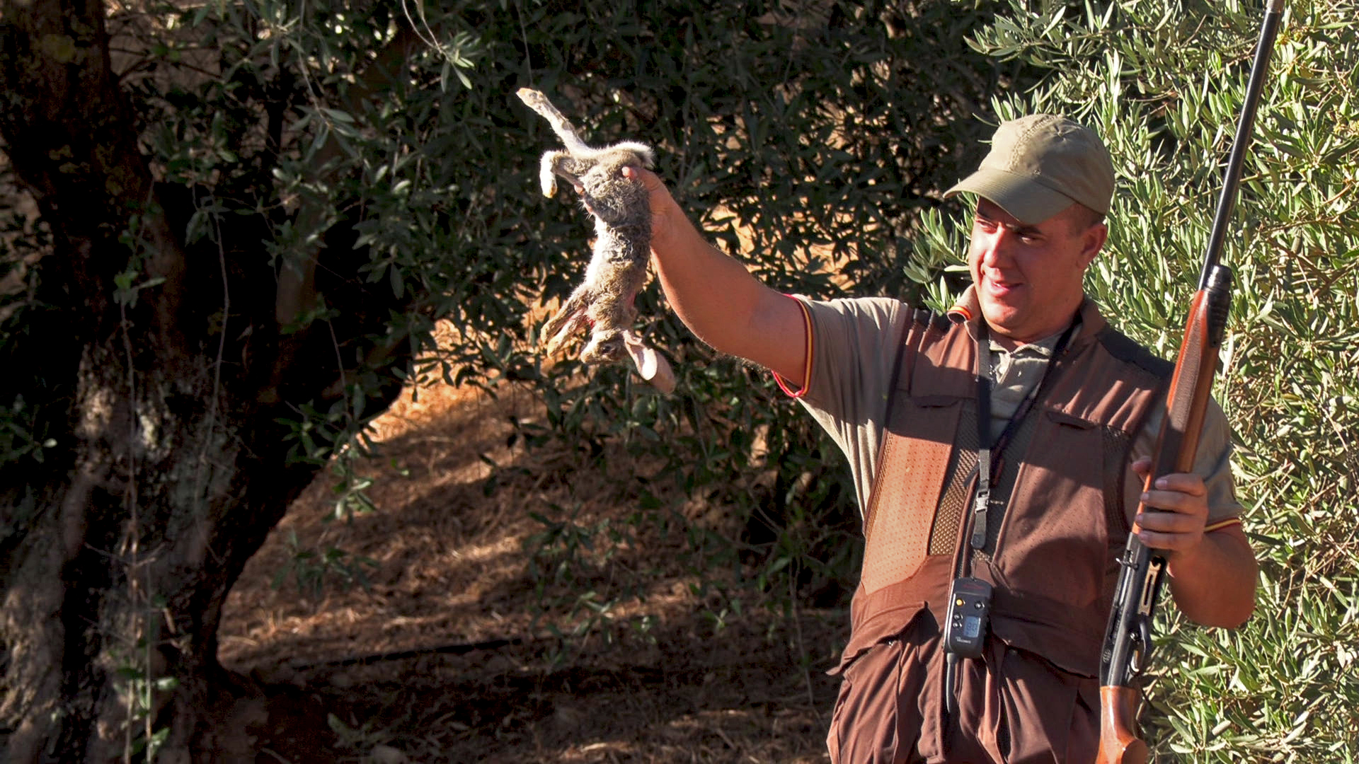 Conejos a los pies de Sierra Mágina