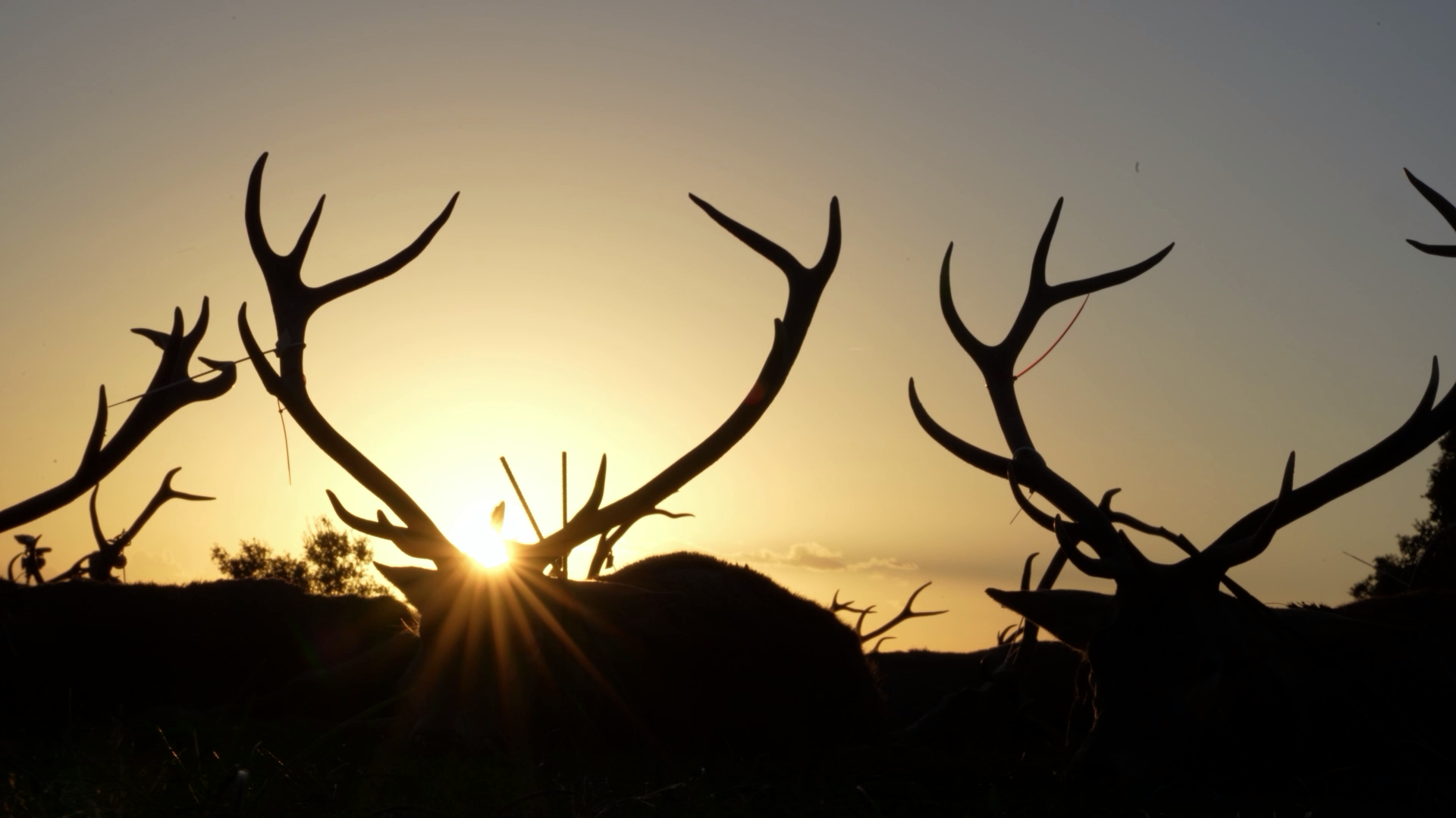 De montería en Porqueros