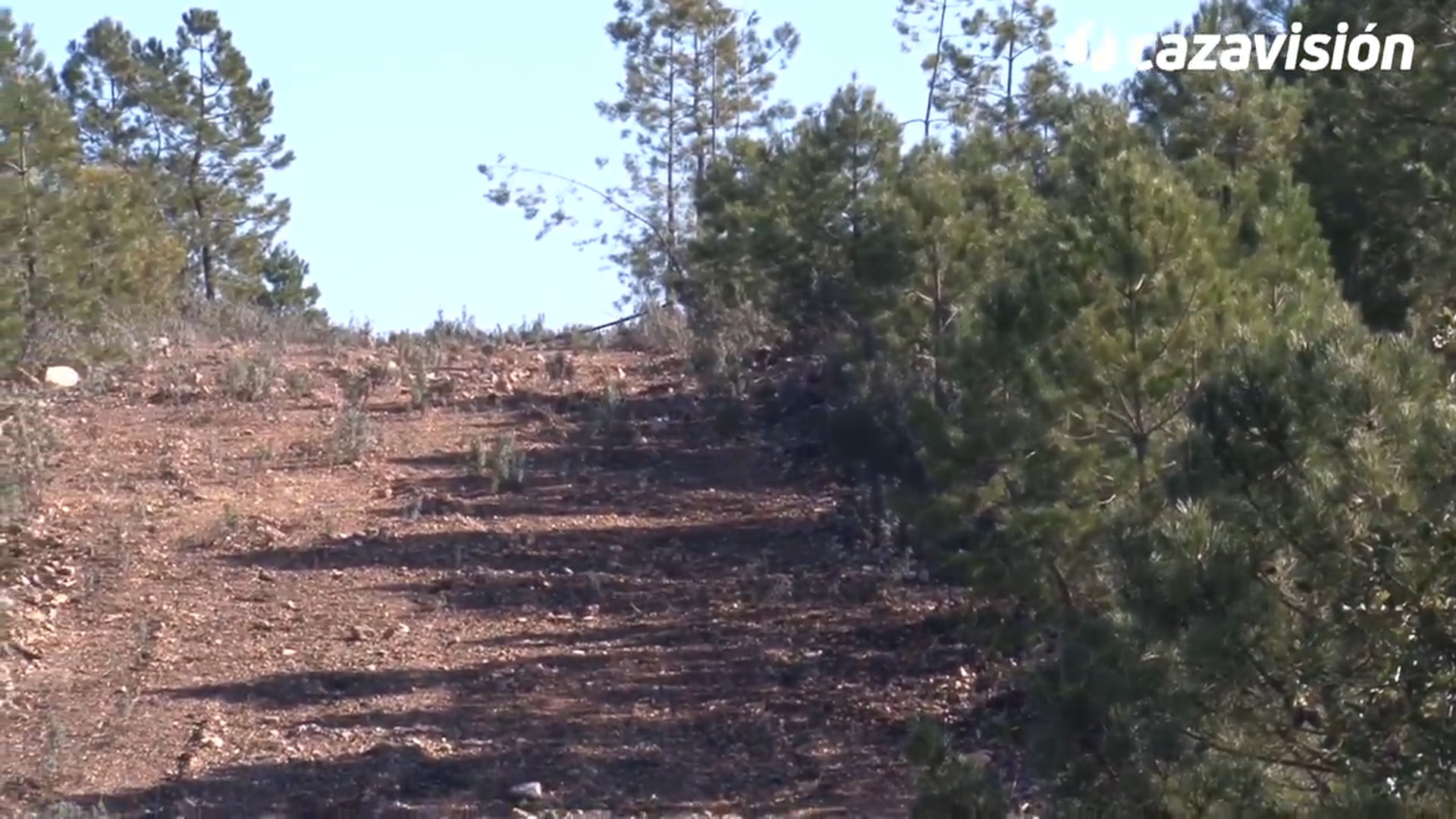 Montería en Los Valles de Silvadillo 2017-2018