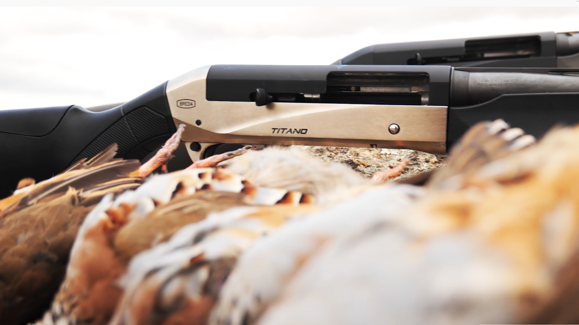 La Armería de Cazavisión Breda Black Evo y Silver Evo