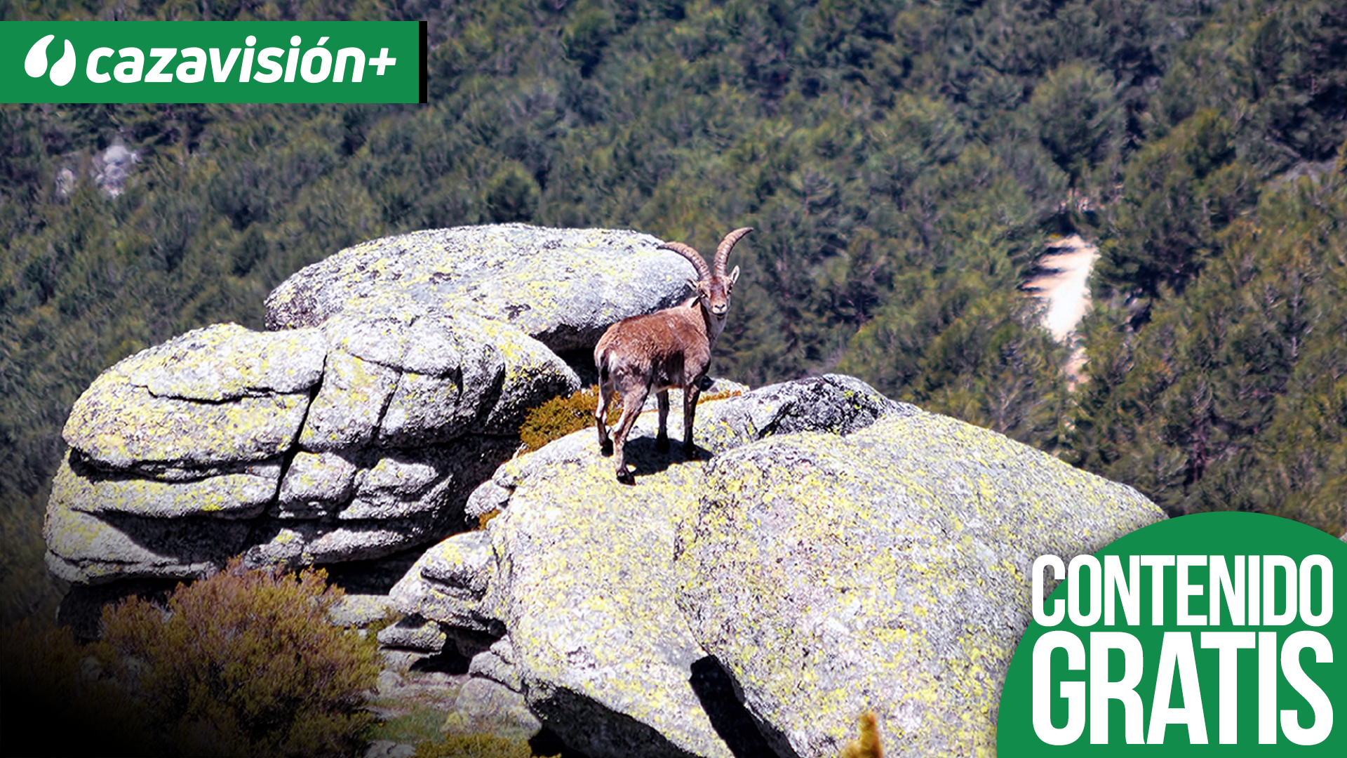 Dos cazadores portugueses recechando en las Batuecas
