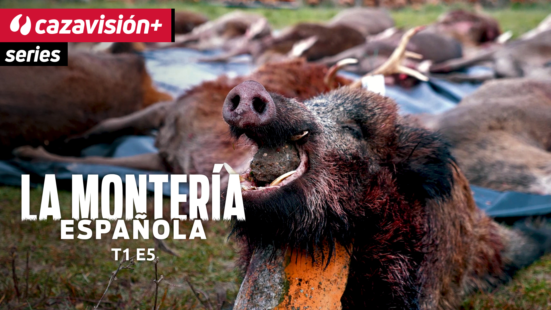 El antes y el después