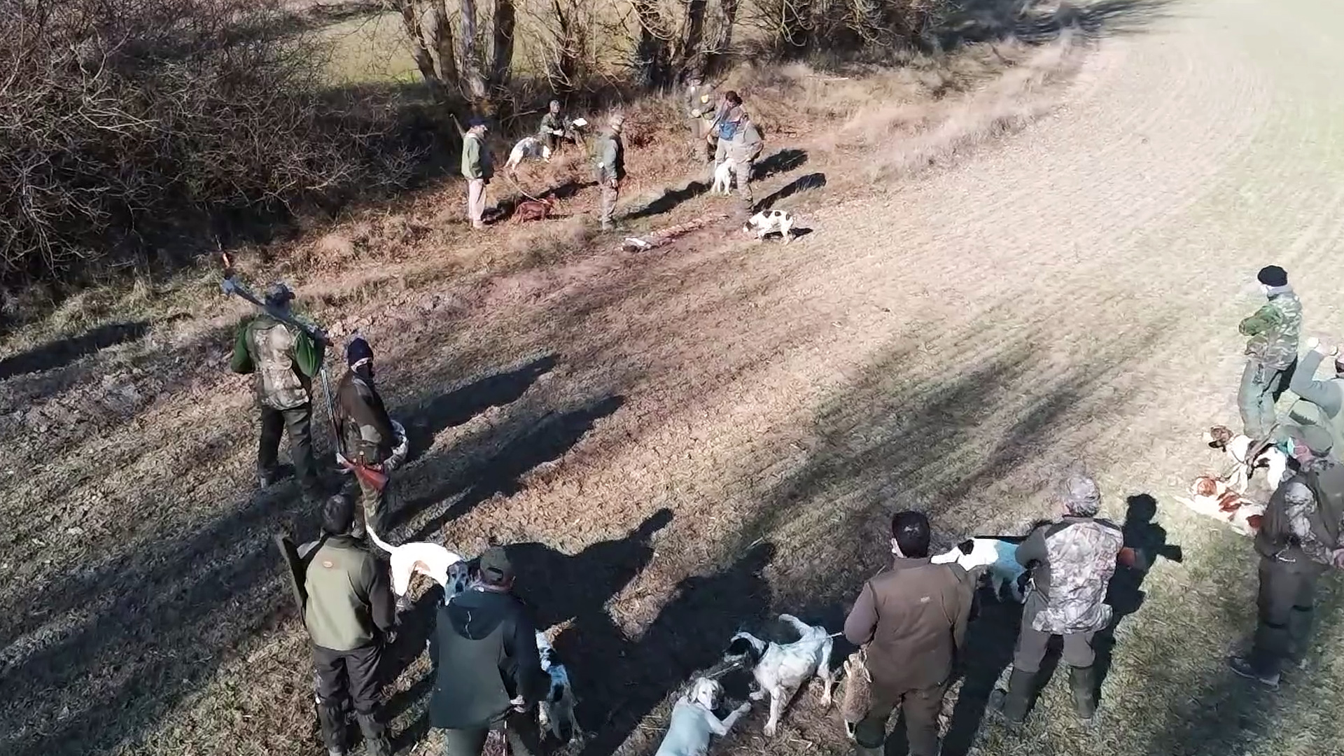 Cuadrillas perdiceras