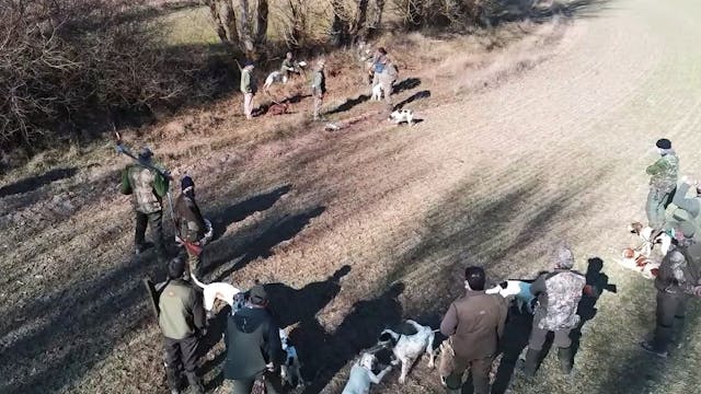 Cuadrillas perdiceras