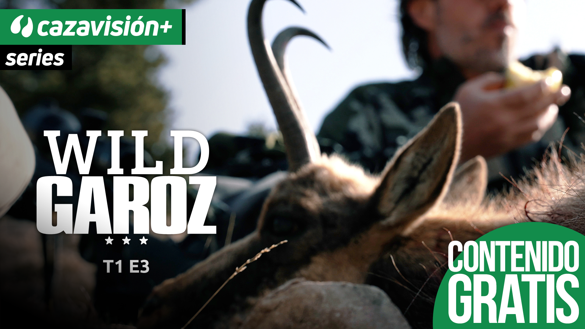 Caza salvaje y de ganchos