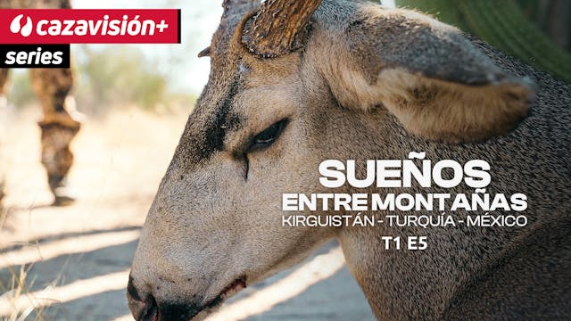 Sonora, un desierto desconocido
