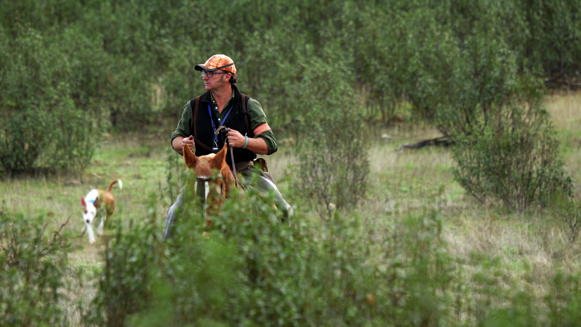 Montería La Quesera
