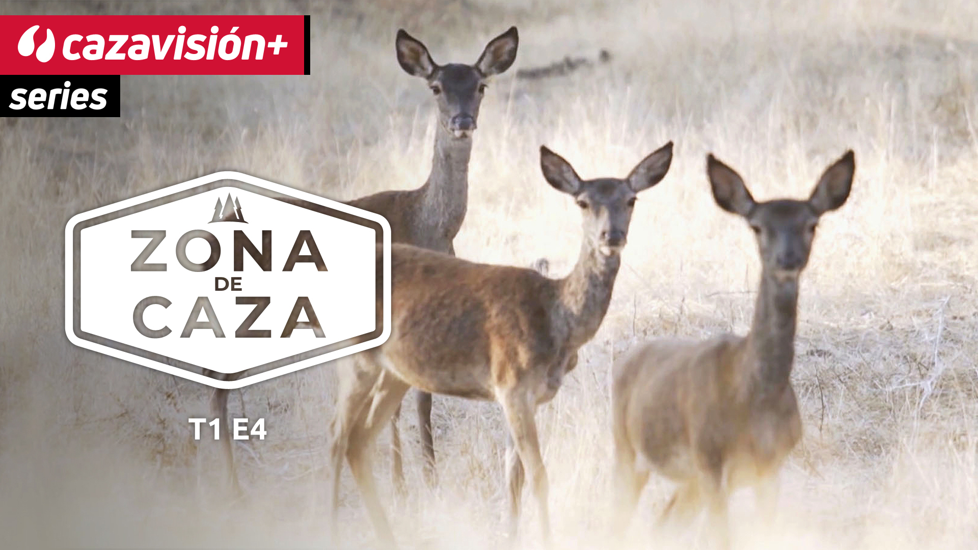 Caza selectiva de trofeos