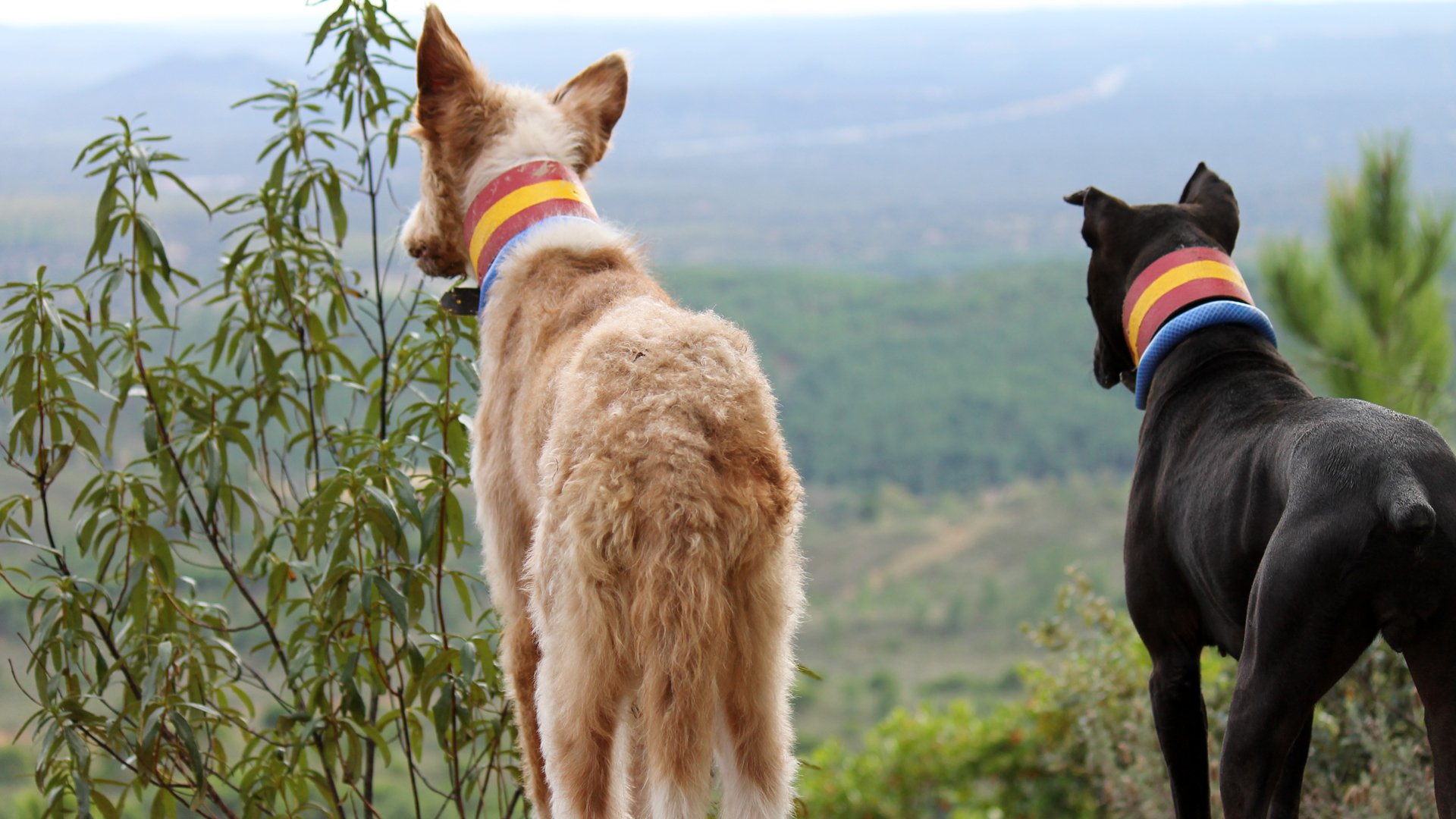 Monteando en La Pavona