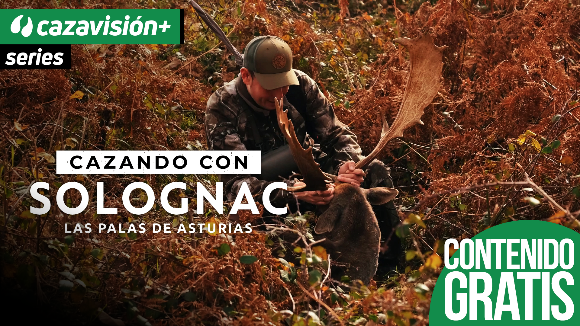 Las palas de Asturias