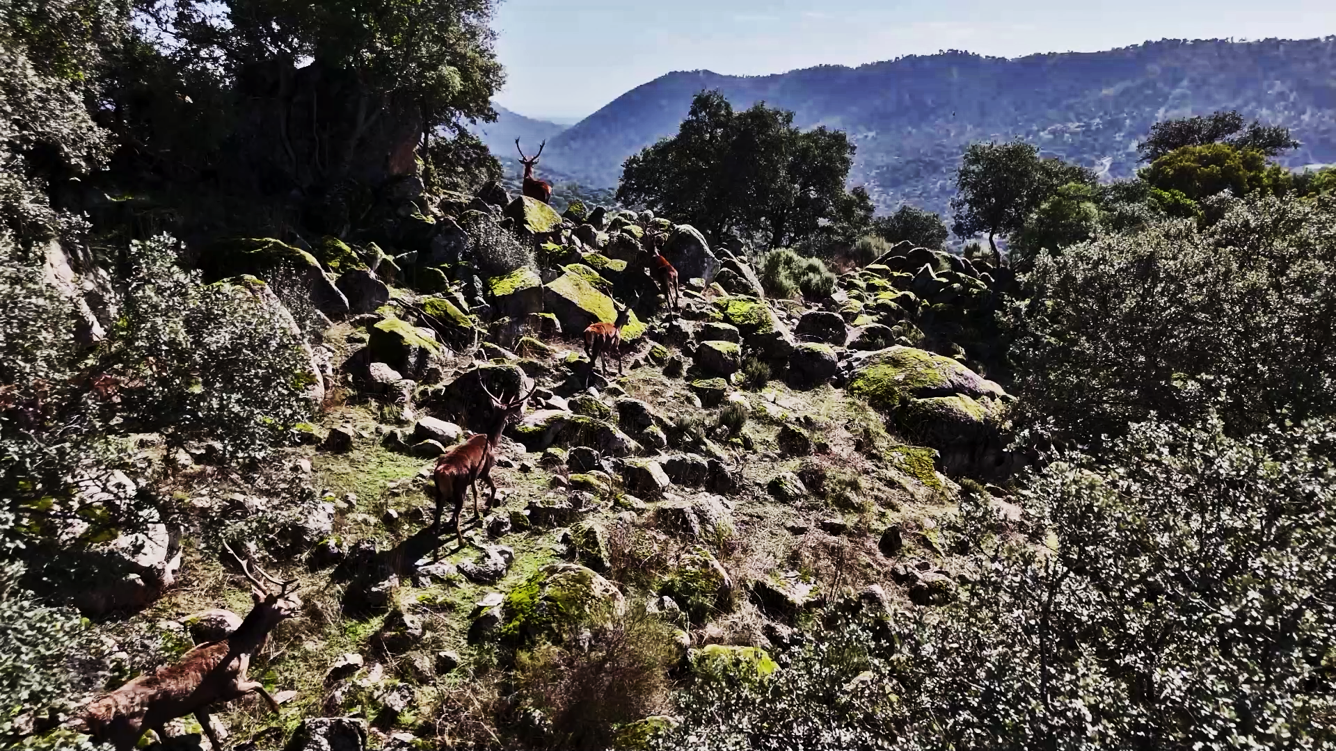 Monteando la Loma del Caballero