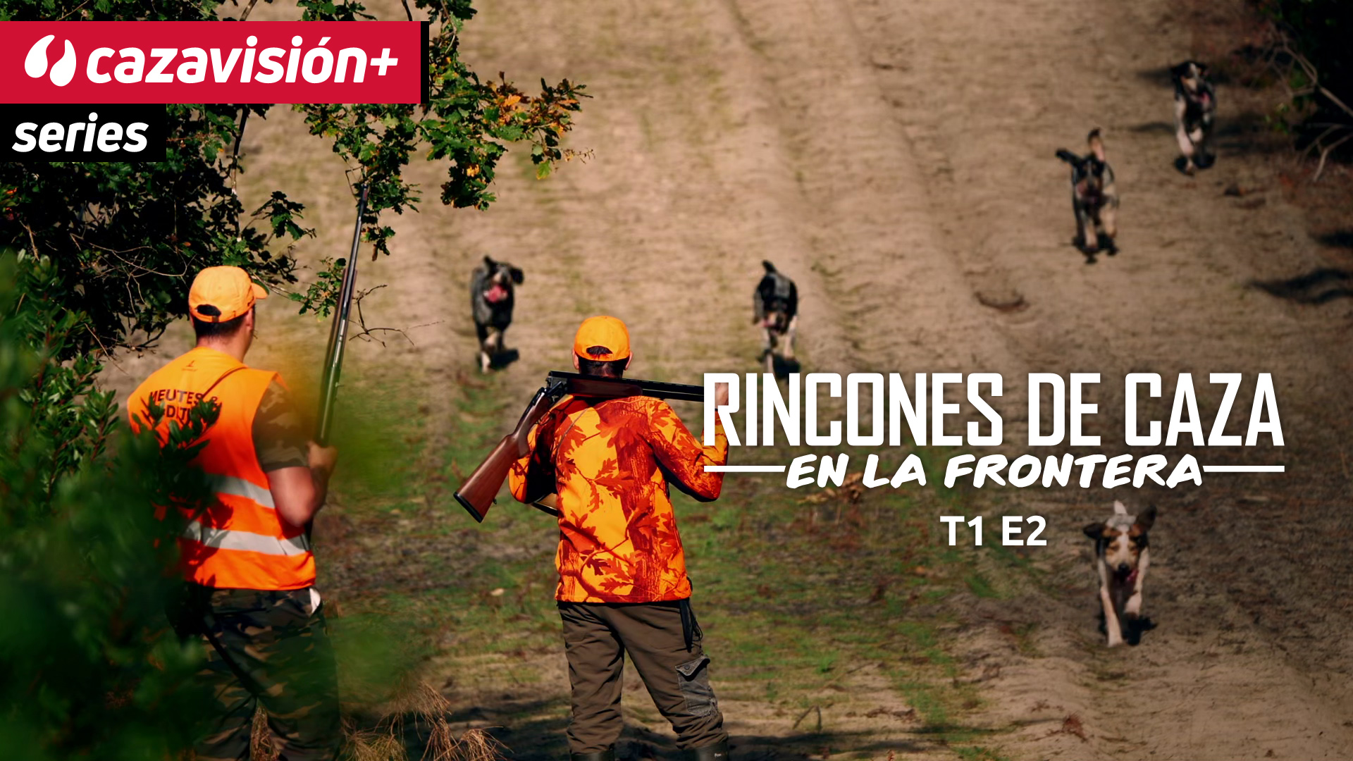 Ciervos en batida cerca del mar