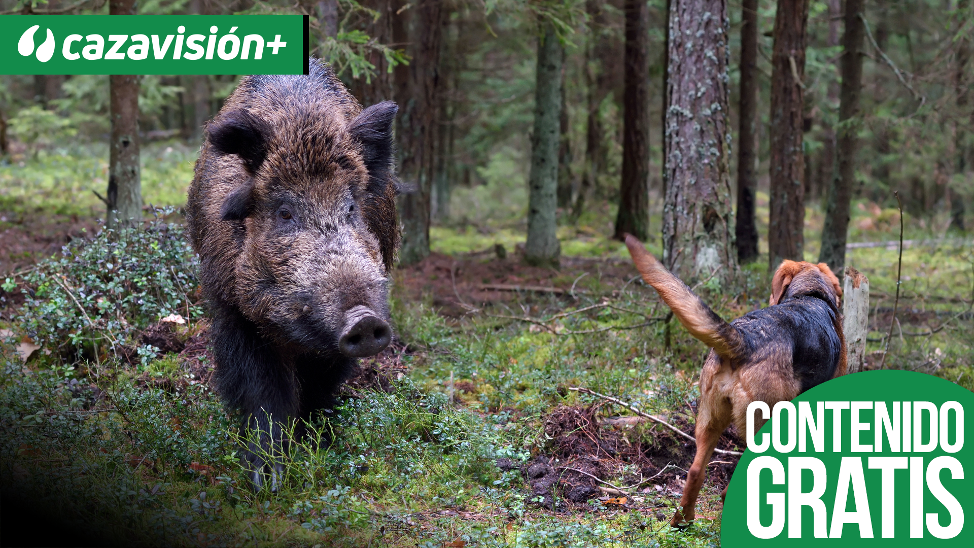Tradición Montera en el Geoparque Naturtejo