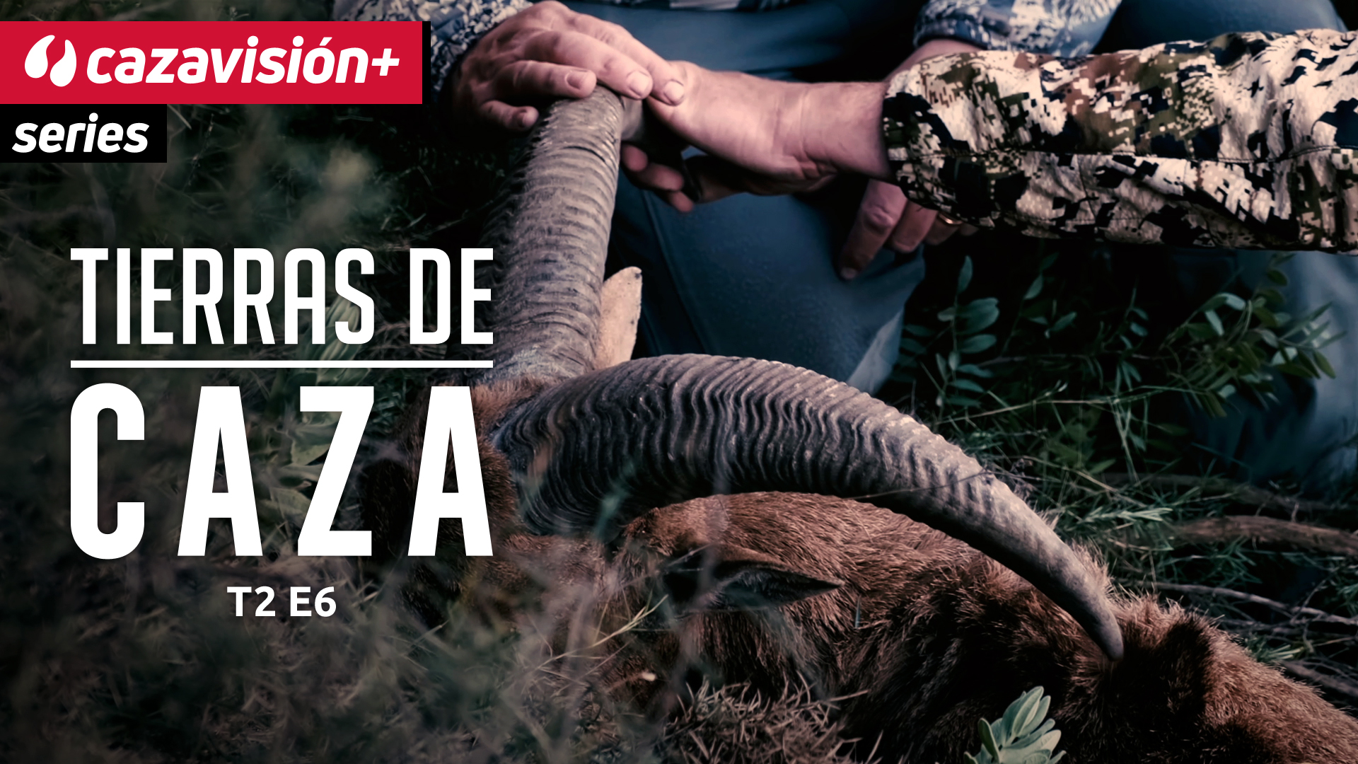 Arruí en las montañas de Alicante