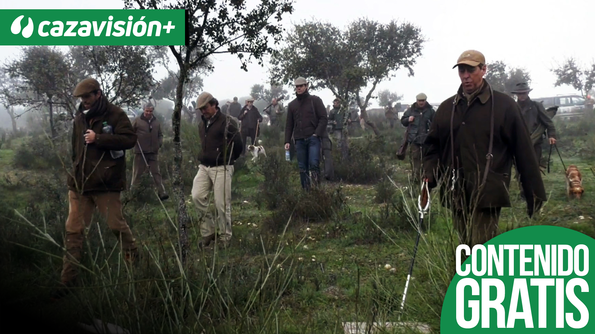 Portugueses cazando la perdiz en ojeo