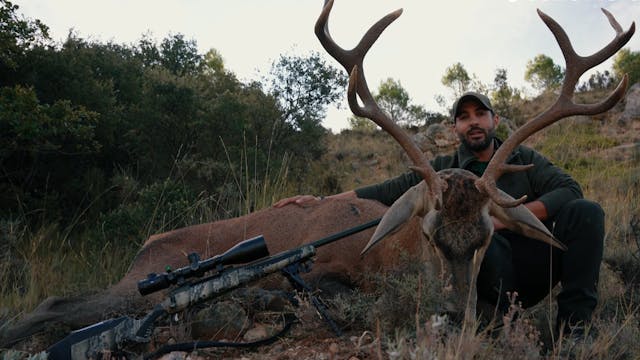 La berrea en Guadalajara