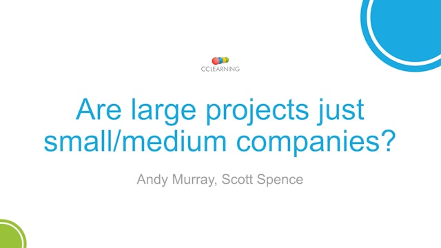 Are large projects just small sized companies?
