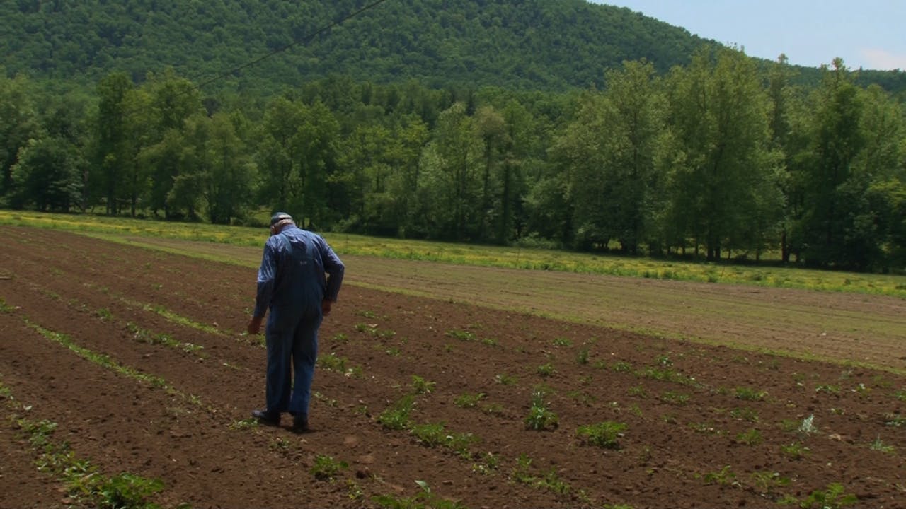 The Land Still Speaks to Them