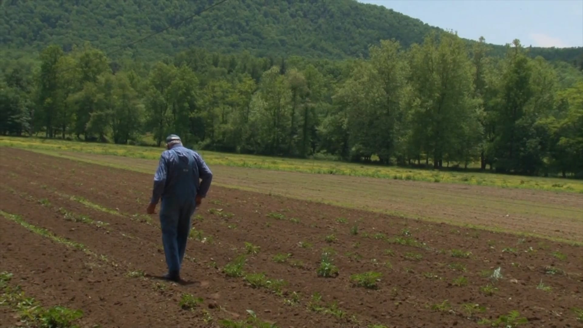 CCP Documentary Film Streaming Service