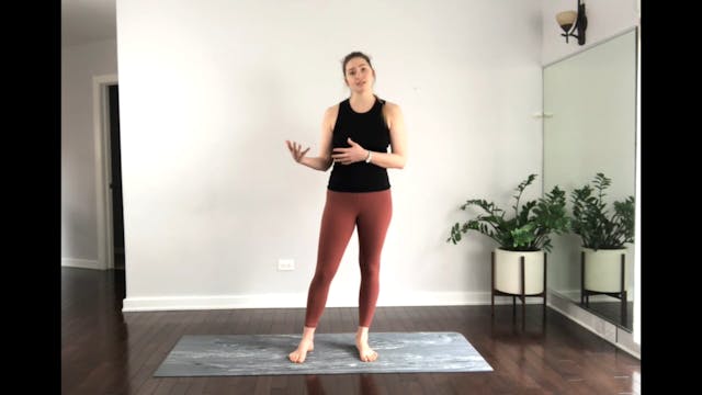 Beginner Mat 1