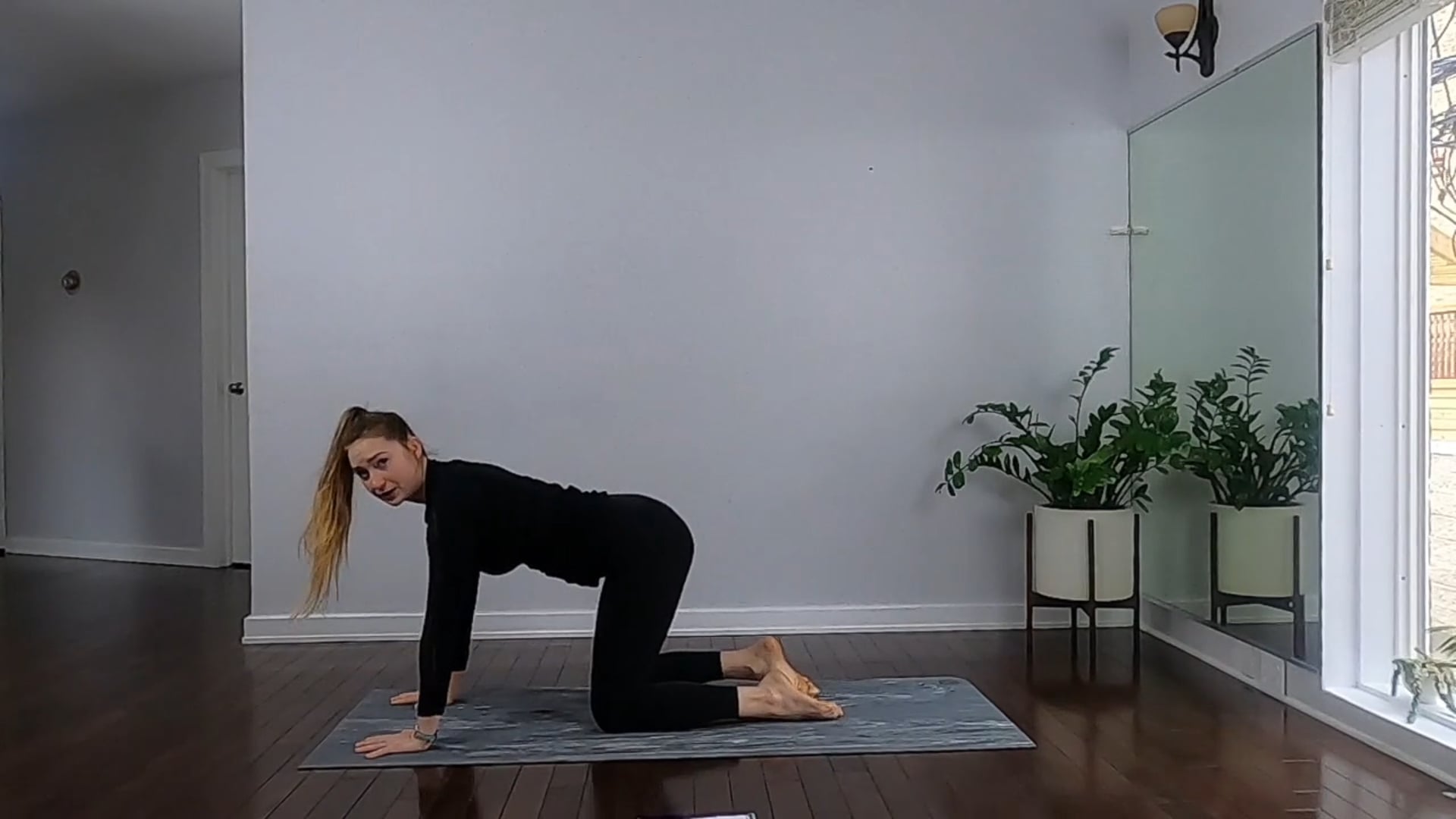 Reformer on the Mat 2