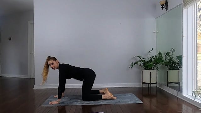 Reformer on the Mat 2