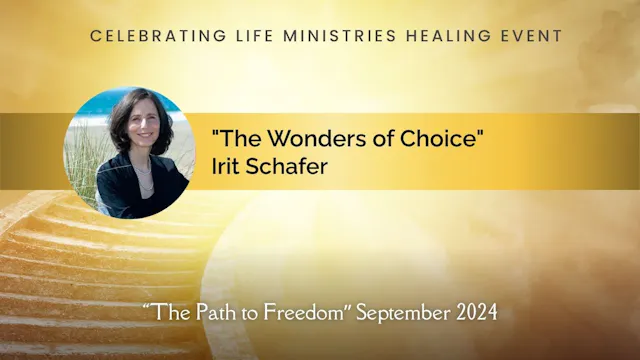 "The Wonders of Choice": Irit Schafer