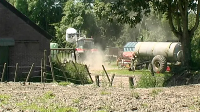 2005 (2025)