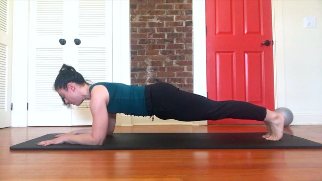 *NEW* Plank Series with Alexandra [All Levels]
