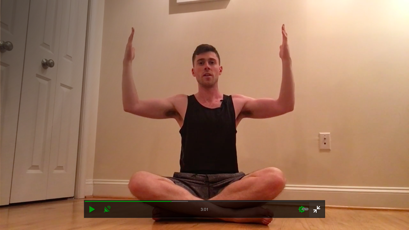 Arm Toning for Dancers 2 [All Levels]