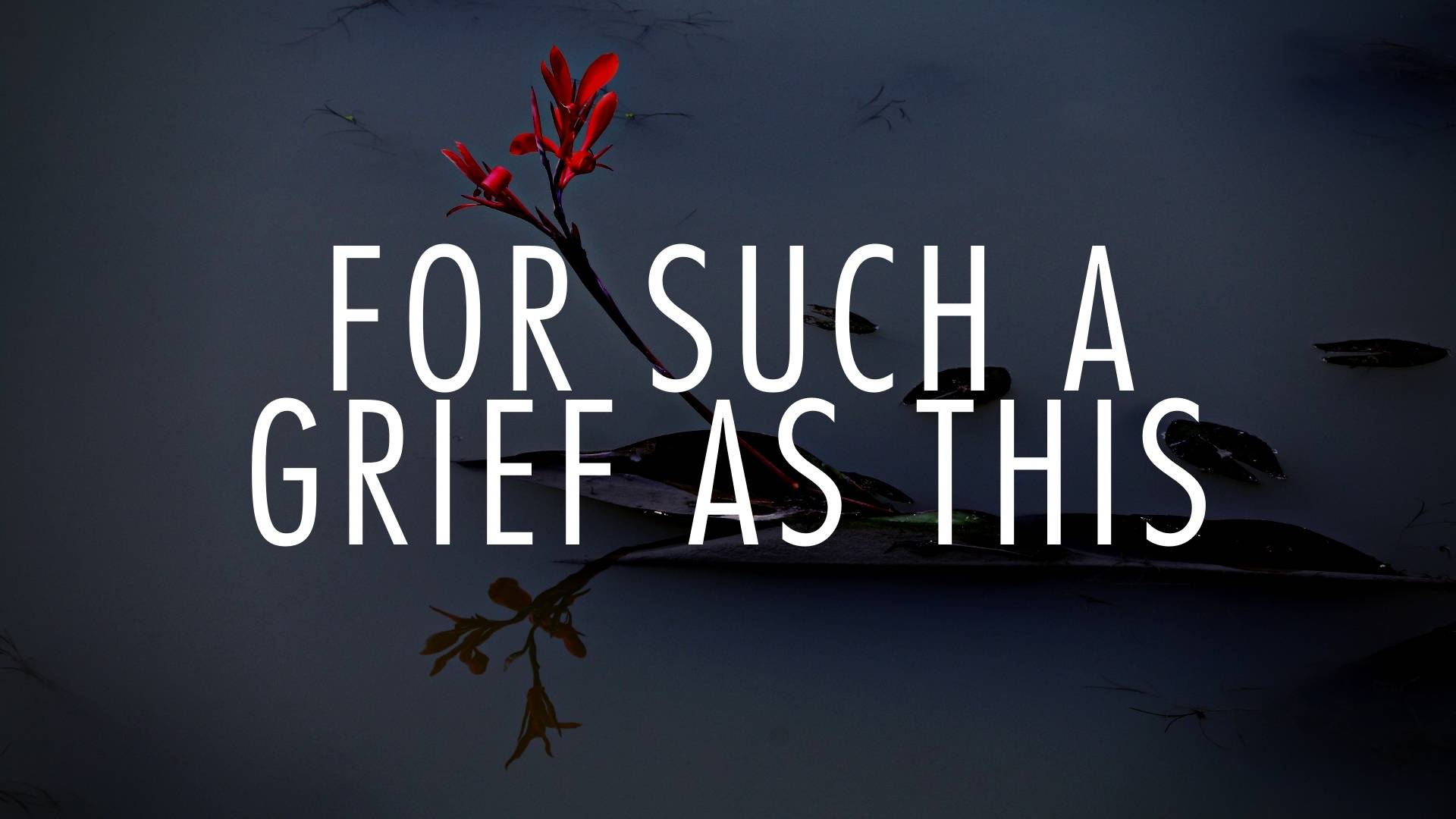 Dr. John Nielson: For Such a Grief as This