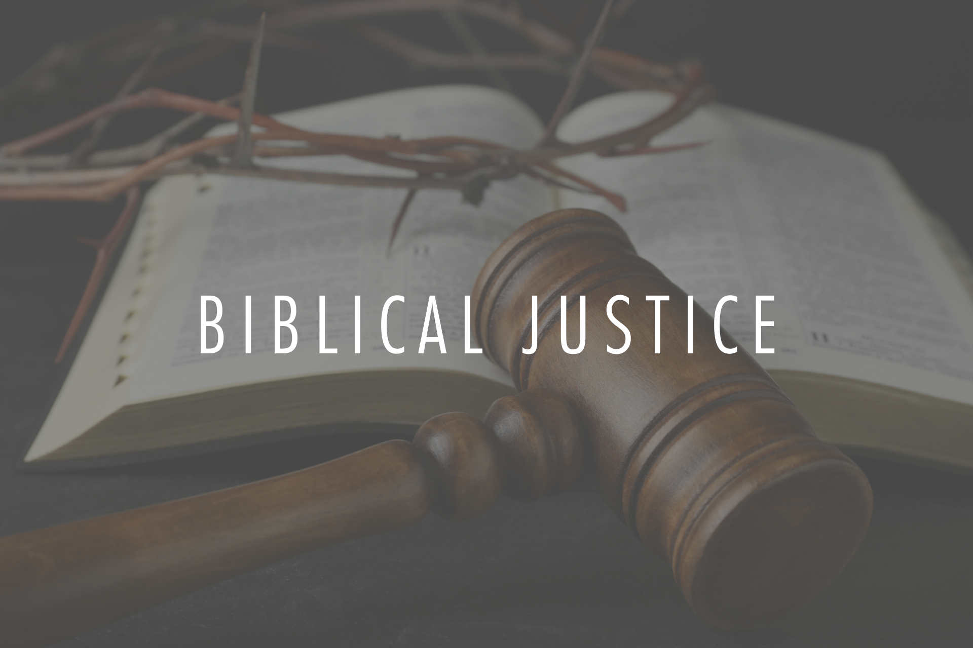Biblical Justice Praxis Studio
