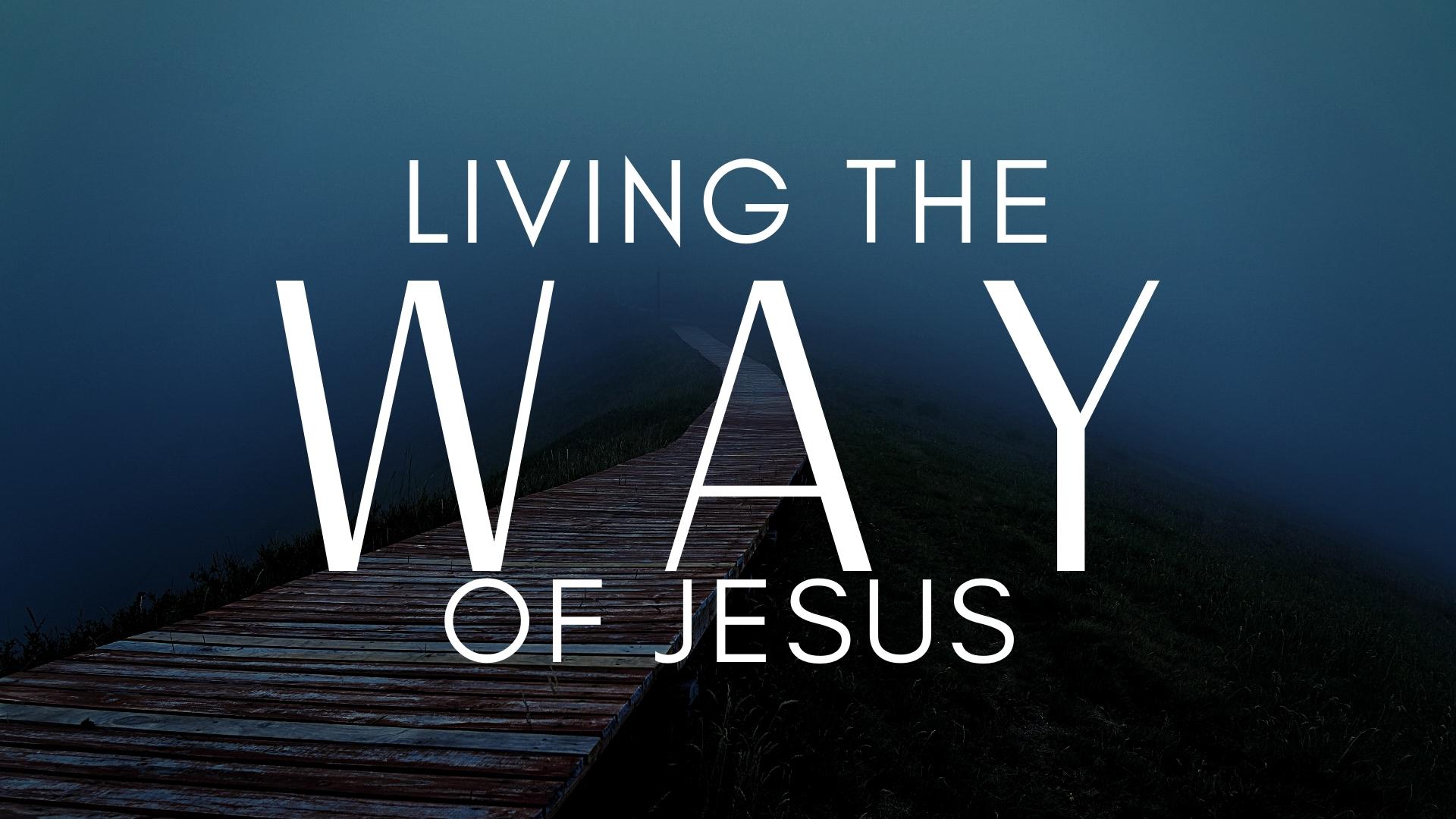Michaele LaVigne: Living the Way of Jesus
