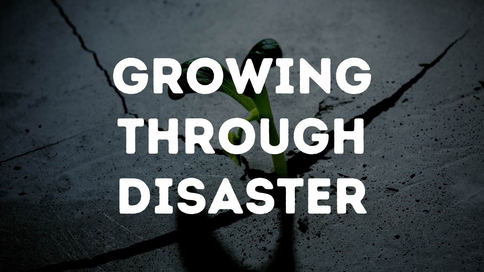 Growing Through Disaster