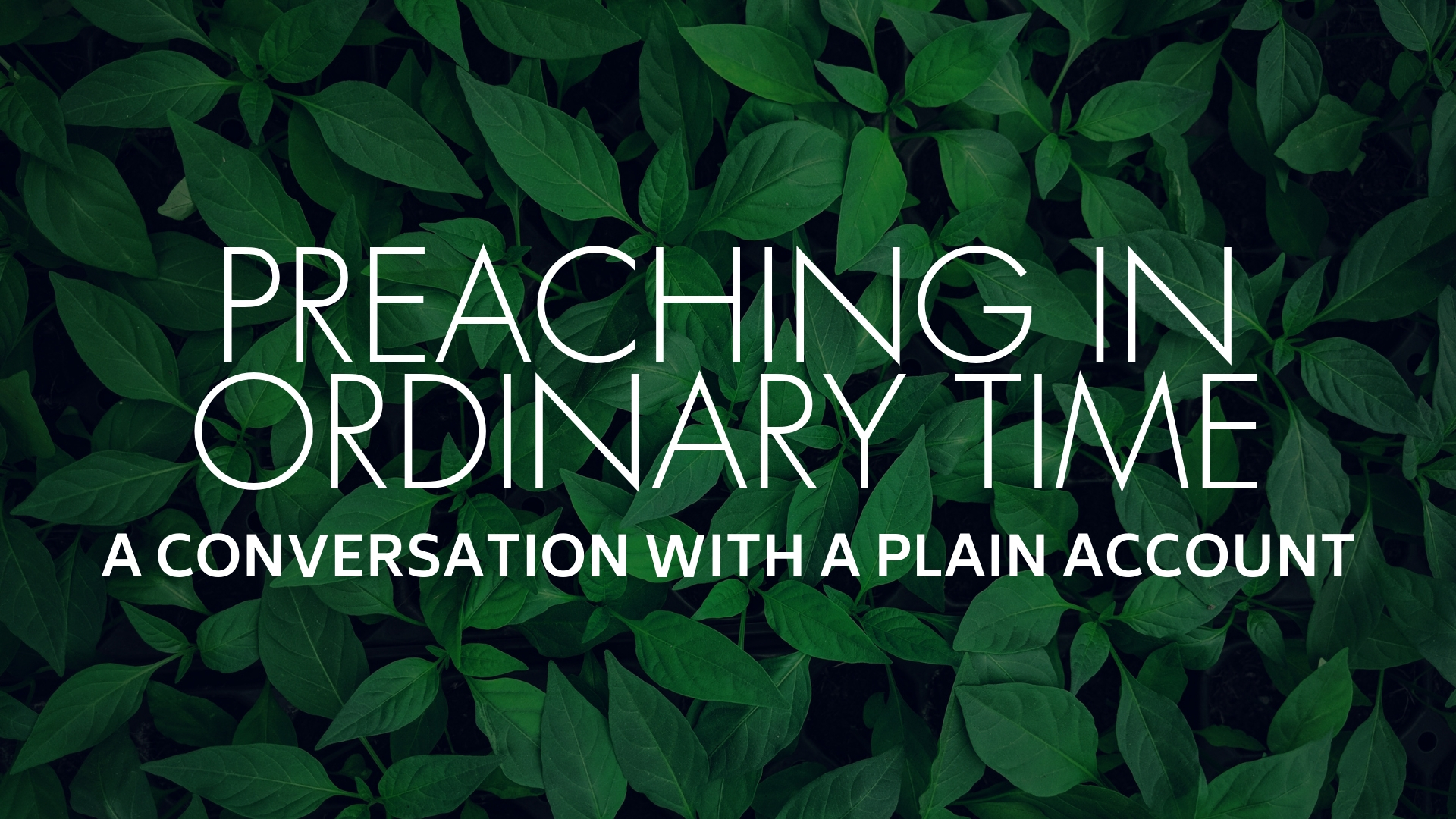 Preaching in Ordinary Time: A Conversation with A Plain Account