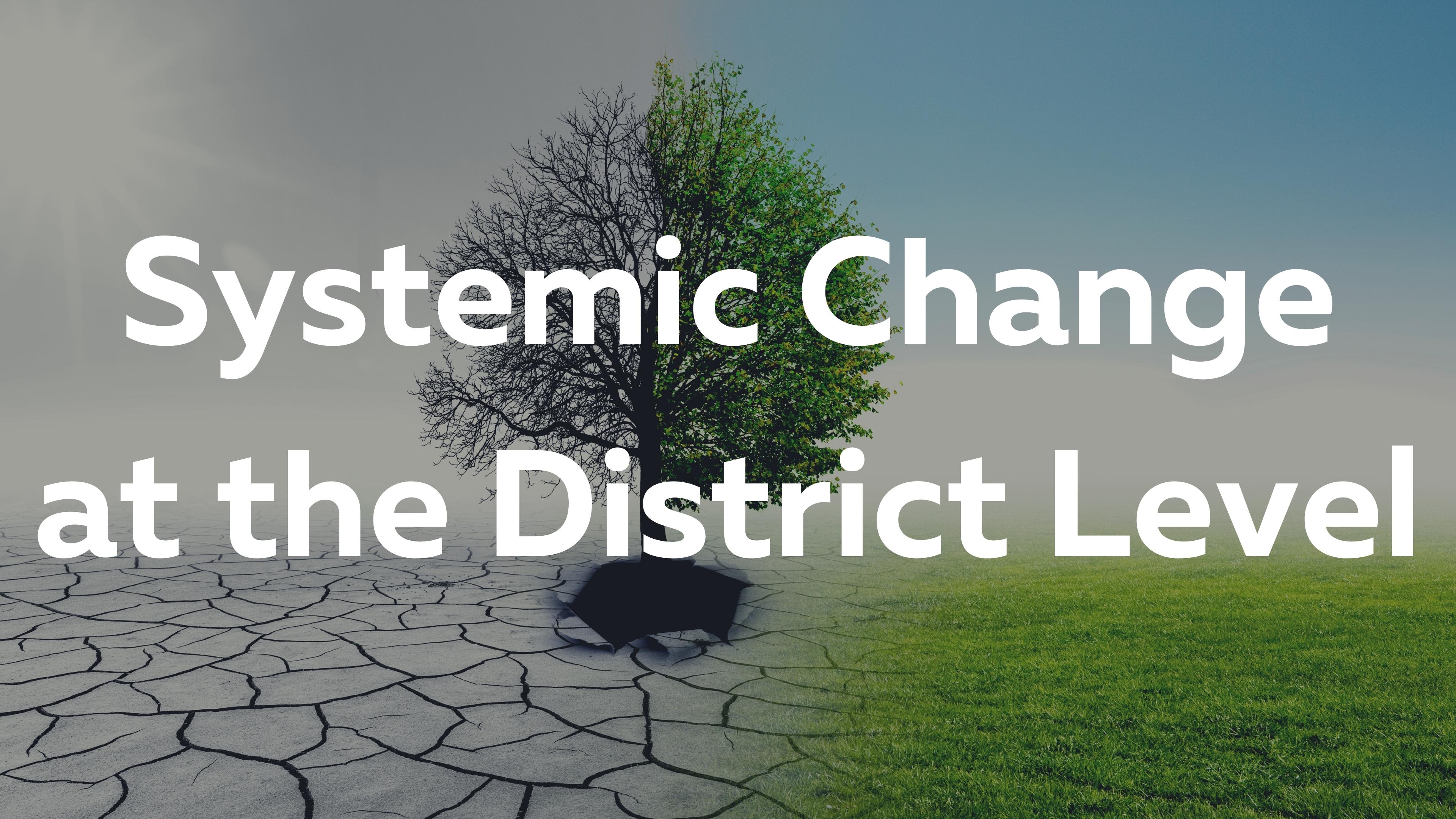 Rev. Sarah Akutagawa: Systemic Change at the District Level