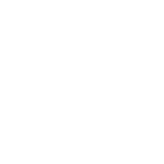 CEO